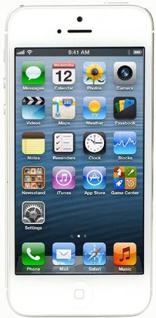 Смартфон Apple iPhone 5 32Gb White & Silver - Борисоглебск