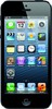 Apple iPhone 5 16GB - Борисоглебск