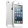 Apple iPhone 5 64Gb white - Борисоглебск